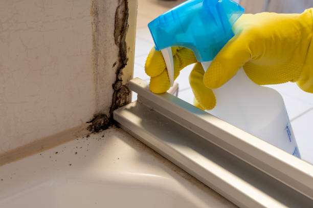 Health and Safety Mold Remediation