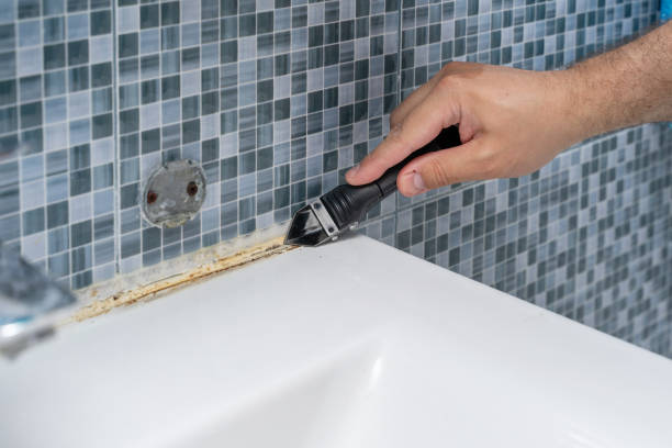 Professional Mold Remediation in Paramount Long Meadow, MD
